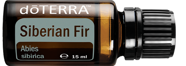 Essential oil doTERRA Siberian Fir (Brad Siberian) 15ml