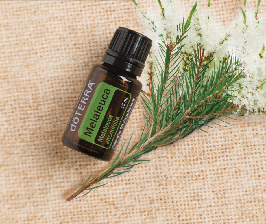 Ulei esential doTERRA Melaleuca (Tea Tree / Arborele de ceai) 15ml