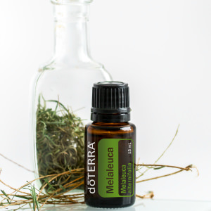 Ulei esential doTERRA Melaleuca (Tea Tree / Arborele de ceai) 15ml