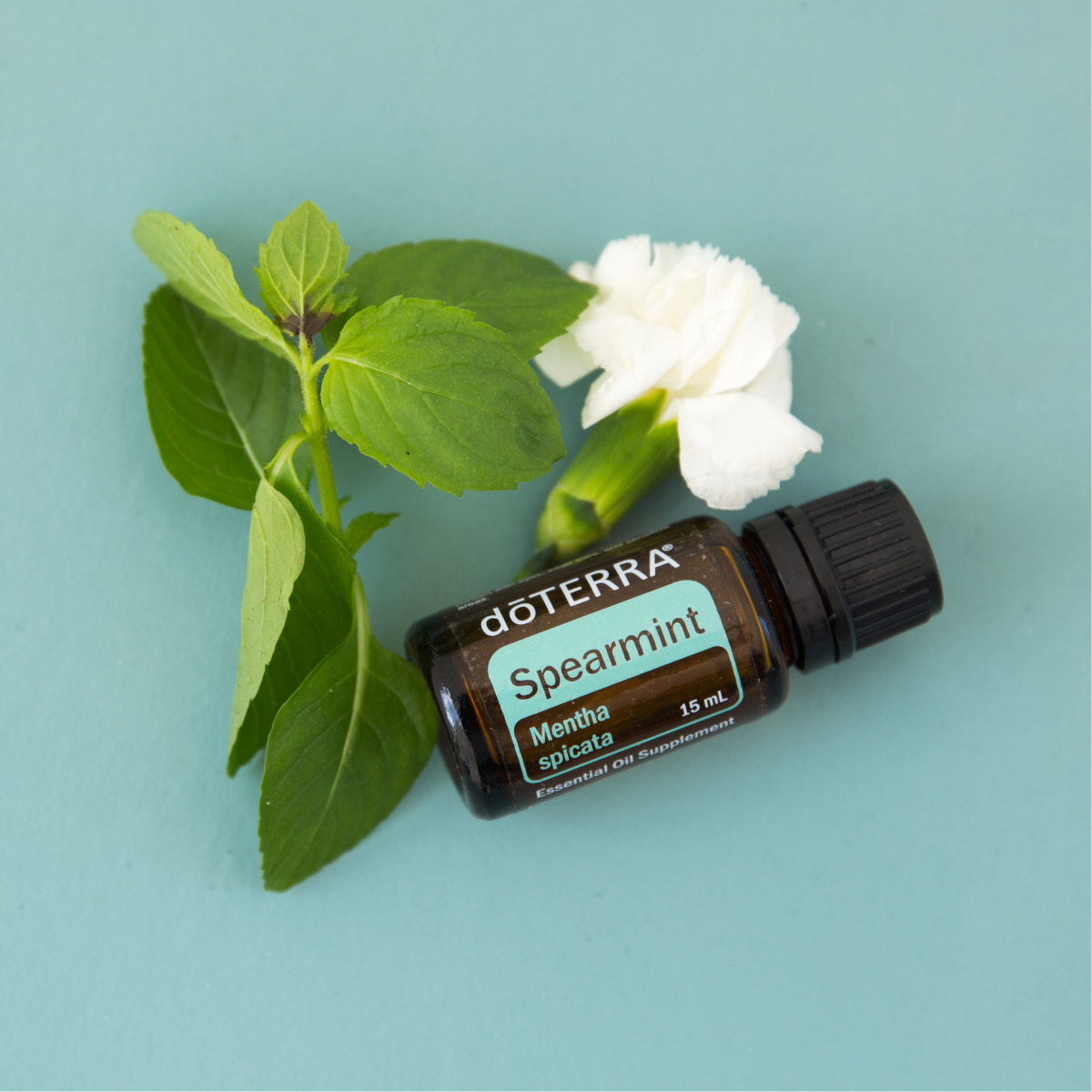Ulei esential doTERRA Spearmint (Menta creata) 15ml