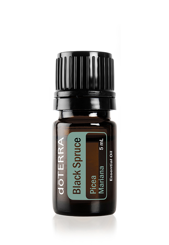 Ulei esential doTERRA Black Spruce (Molid Negru)  5ml