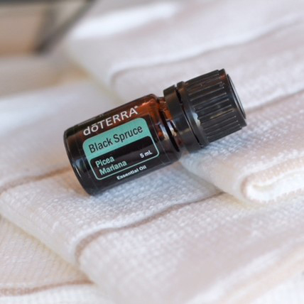 Ulei esential doTERRA Black Spruce (Molid Negru)  5ml