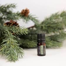 Ulei esential doTERRA Black Spruce (Molid Negru)  5ml